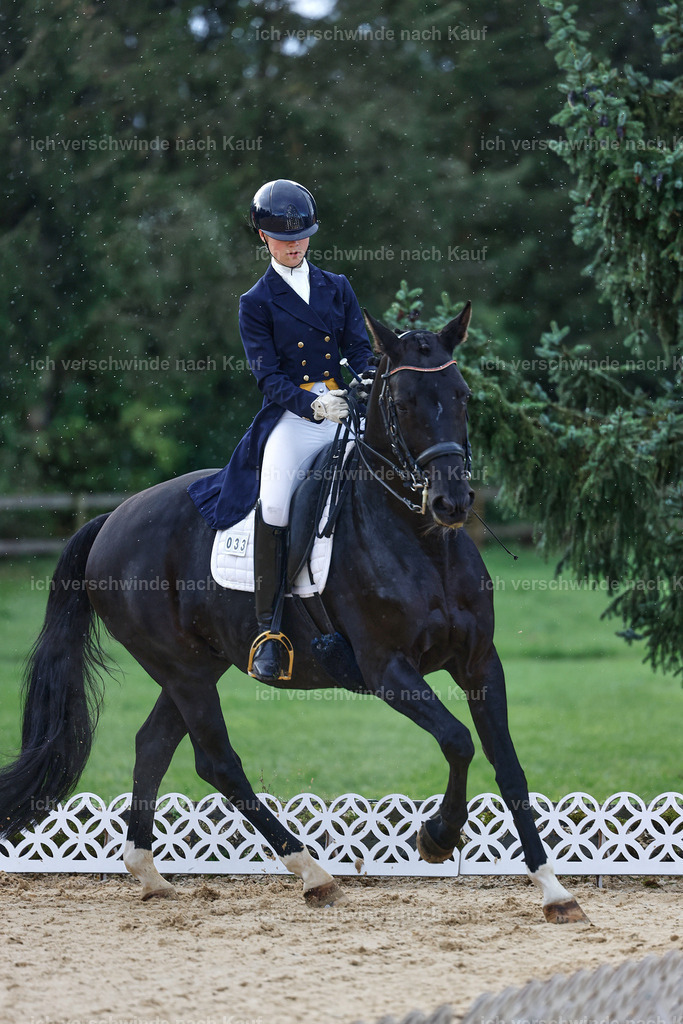 10-033-ST.GEORG SPECIAL -StoibPH-3123 | working equitationturnier fotograf videograf stoibphotography marixx film working equitation deutschland reitsport turnierfotografie eventfotografie equestrian events