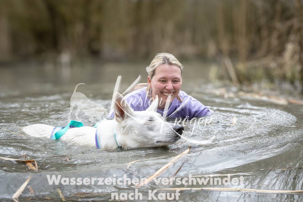 1121_ZZ98649 | kk-dogfotos