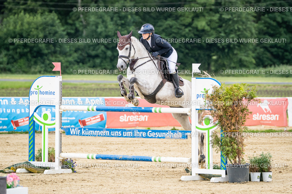 DSC06511 | Pferdegrafie