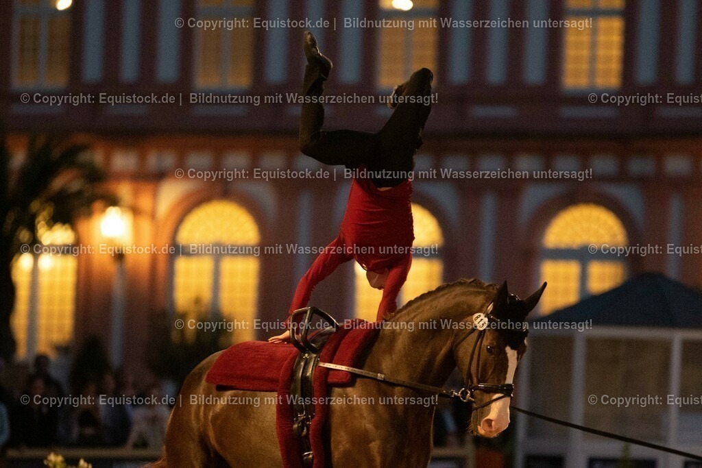 20230527_Voltigieren_NASPA_Flutlicht_0617 | equistock