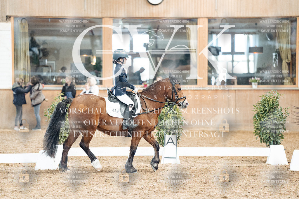 CK900422 | Turnierfotografie Pferdefotografie Trier Rheinland-Pfalz Pferdesport Reitsport Tierfotografie Sportfotografie Pferdevideo Pferdevideografie Equestrianvideography equestrianphotography  - Realisiert mit Pictrs.com