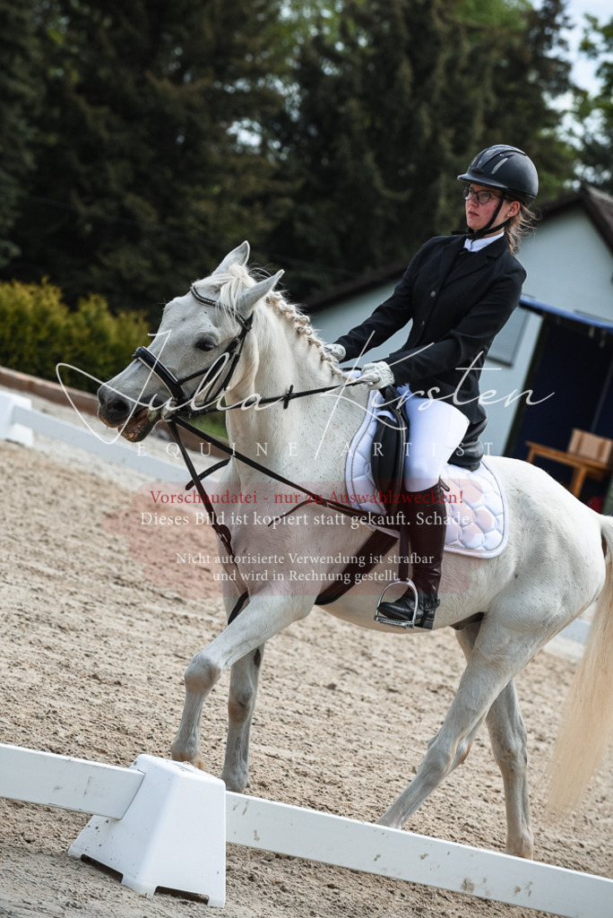 20230518_JK-Röhrsdorf-11-0858 | Pferde- und Turnierfotografie in Westsachsen. Pferdeportraits, Auftragszeichnungen und intuitive Kunst.