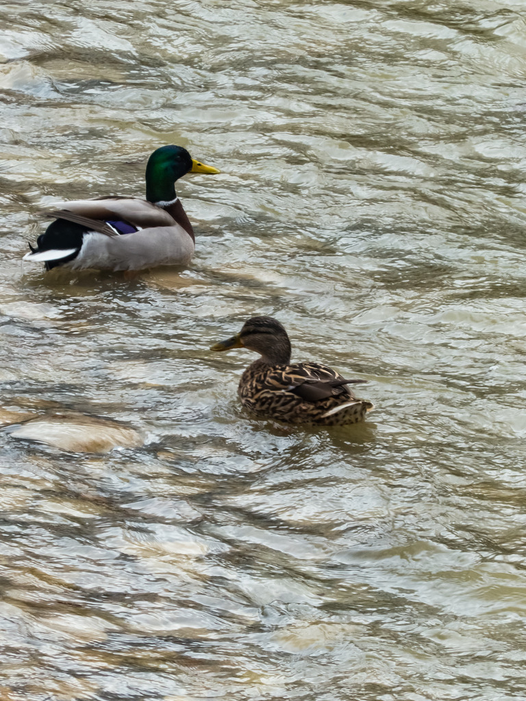 PSX_20230313_000649 | mtkfoto_ - Realisiert mit Pictrs.com