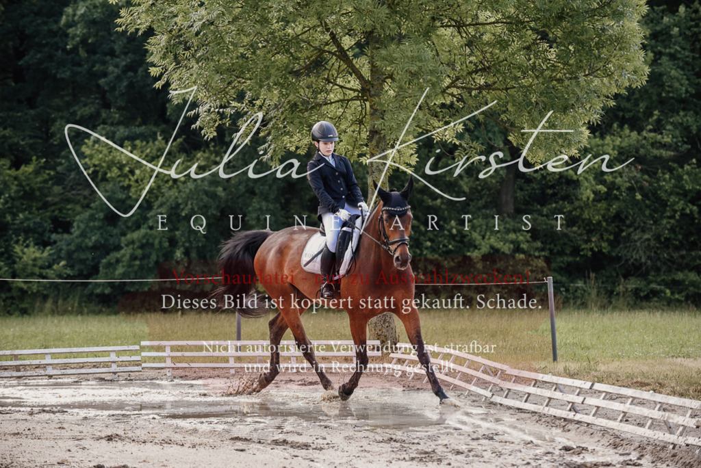DSC_8032 | Pferde- und Turnierfotografie in Westsachsen. Pferdeportraits, Auftragszeichnungen und intuitive Kunst.