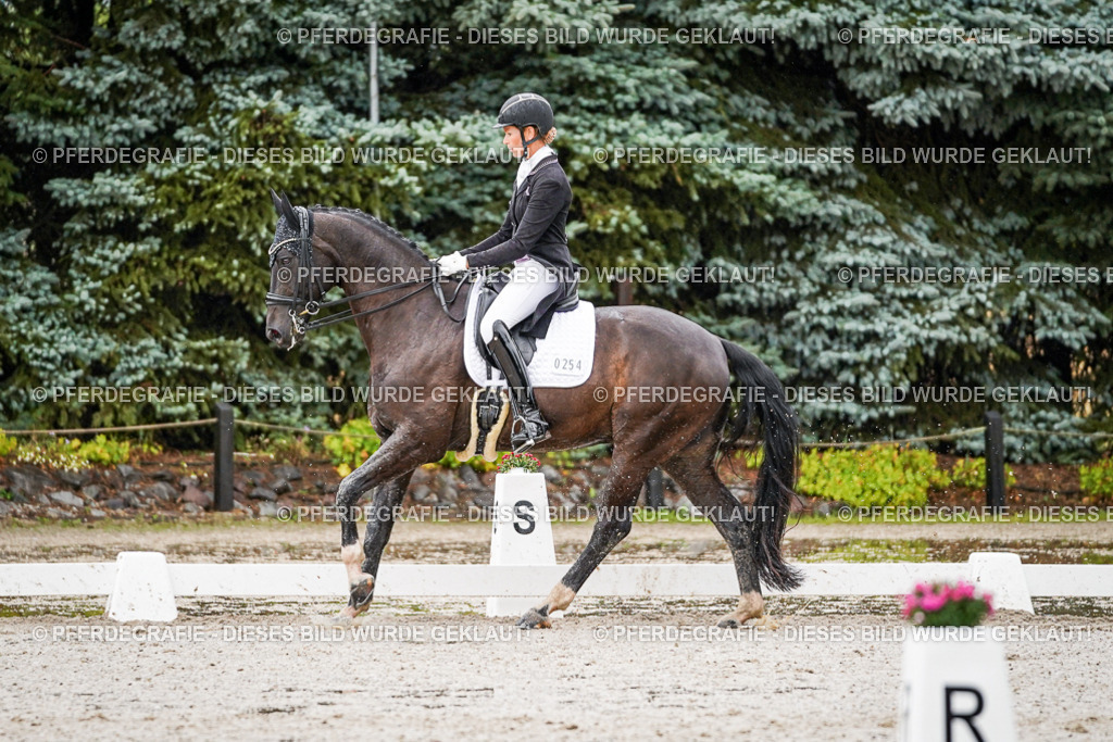 DSC08754 | Pferdegrafie