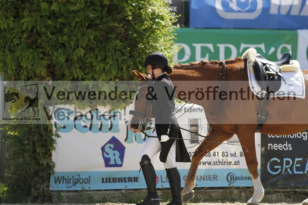 _MG_5612 | equestrian-live-com