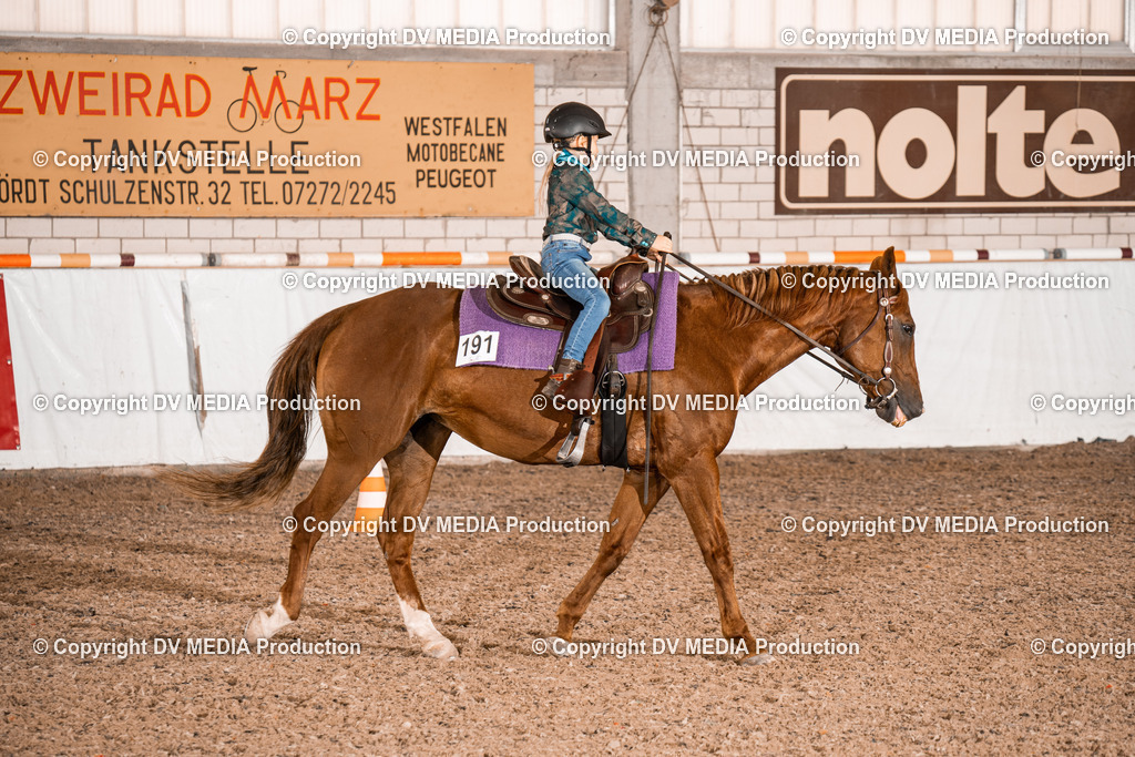 ZH200319 | dv-media-shop - Realisiert mit Pictrs.com