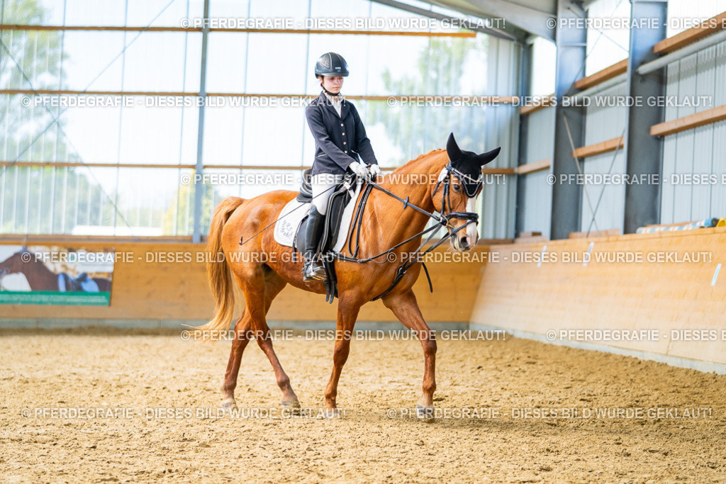 DSC09443 | Pferdegrafie