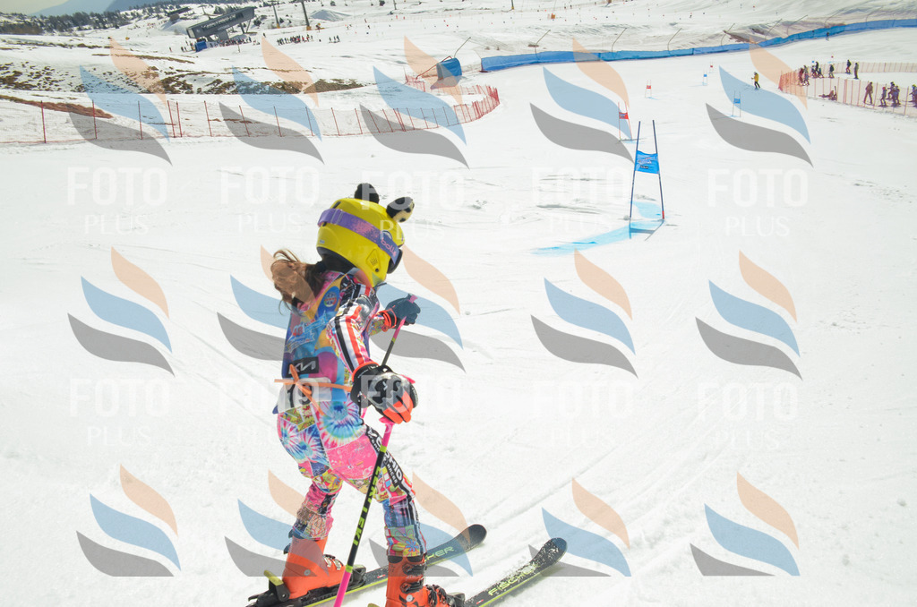 _ELE4711 | holidayphoto