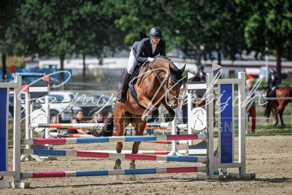 20260905-_3LI9088 | Tierfotografie Pferde, Hunde, Katzen, Haustiere.
Turnierfotografie Reitturniere, Reiten, Springreiten, Dressur in Hanau, dem Main-Kinzig-Kreis und dem Rhein-Main- Gebiet um Frankfurt