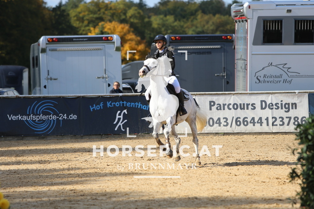 DL2Q5368 | Willkommen bei Brunnmayr - Design & Fotografie – Ihrem Spezialisten für Reitturniere und Pferdeveranstaltungen in Oberösterreich, Salzburg und Bayern! Seit über 17 Jahren sind wir leidenschaftlich dabei.