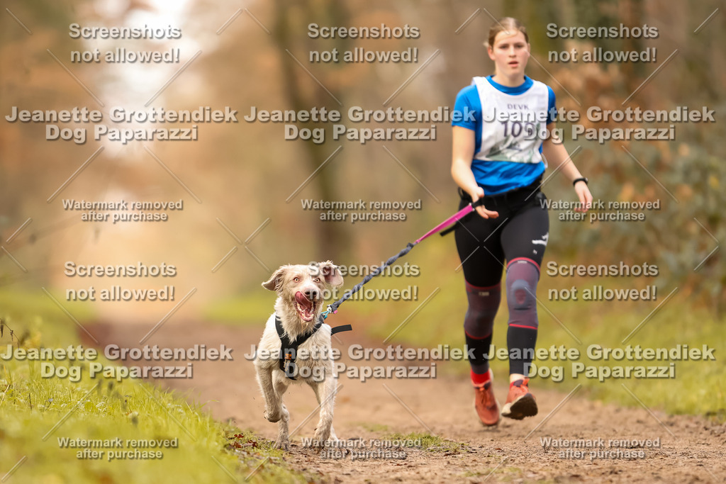 Dog Paparazzi - Speedhunter Mannheim  2025-298 | Dog Paparazzi Jeanette Grottendiek Fotografie & Videografie