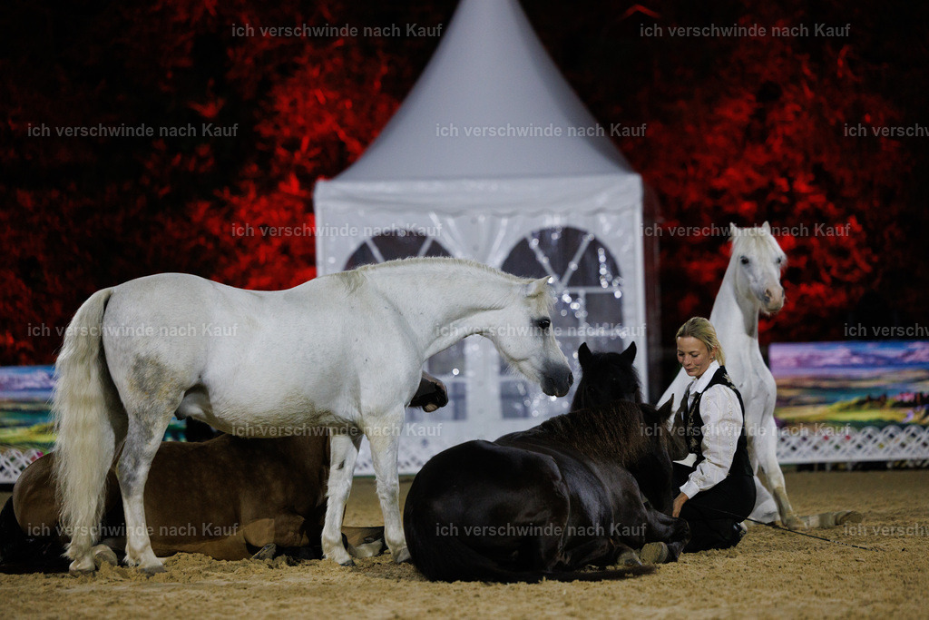 FHClassics-259 | working equitationturnier fotograf videograf stoibphotography marixx film working equitation deutschland reitsport turnierfotografie eventfotografie equestrian events