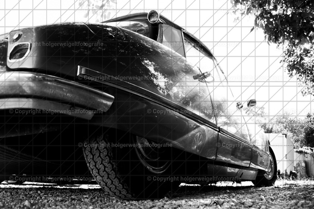 20220807090713D75_7638 | Kaufen sie online außergewöhnliche Fotografien auf Leinwand Acrylglas Fotoprint Aludibond von holgerweigeltfotografie - Realized with Pictrs.com