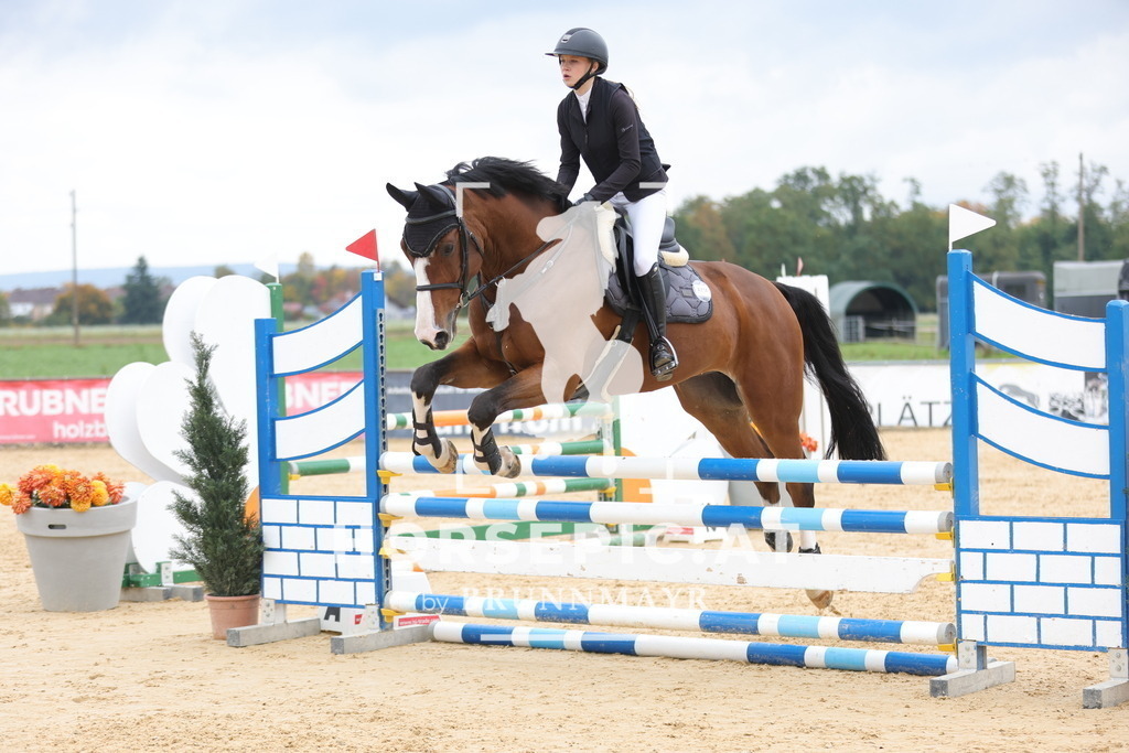 0P6A2918 | Willkommen bei Brunnmayr - Design & Fotografie – Ihrem Spezialisten für Reitturniere und Pferdeveranstaltungen in Oberösterreich, Salzburg und Bayern! Seit über 17 Jahren sind wir leidenschaftlich dabei.