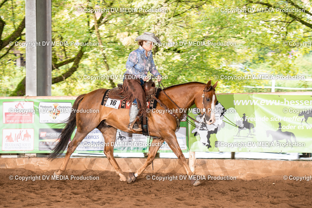 Erbach Tag 4-705 | dv-media-shop - Realisiert mit Pictrs.com