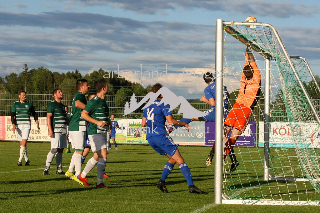 993T9109 | Medien- Sport- Entertainmentfotos