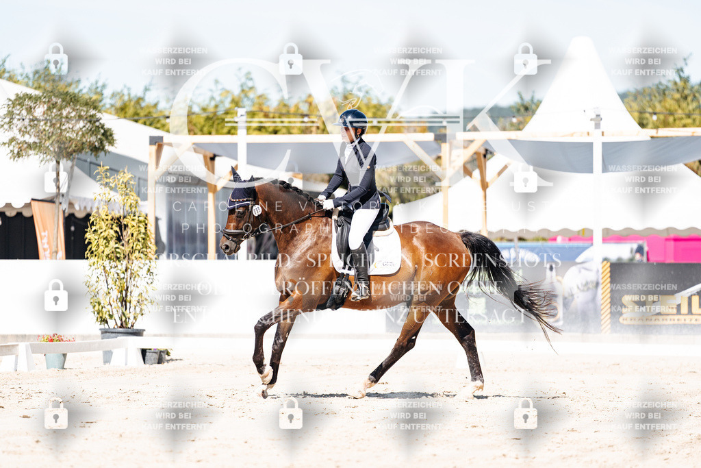 CK909325 | Turnierfotografie Pferdefotografie Trier Rheinland-Pfalz Pferdesport Reitsport Tierfotografie Sportfotografie Pferdevideo Pferdevideografie Equestrianvideography equestrianphotography  - Realisiert mit Pictrs.com