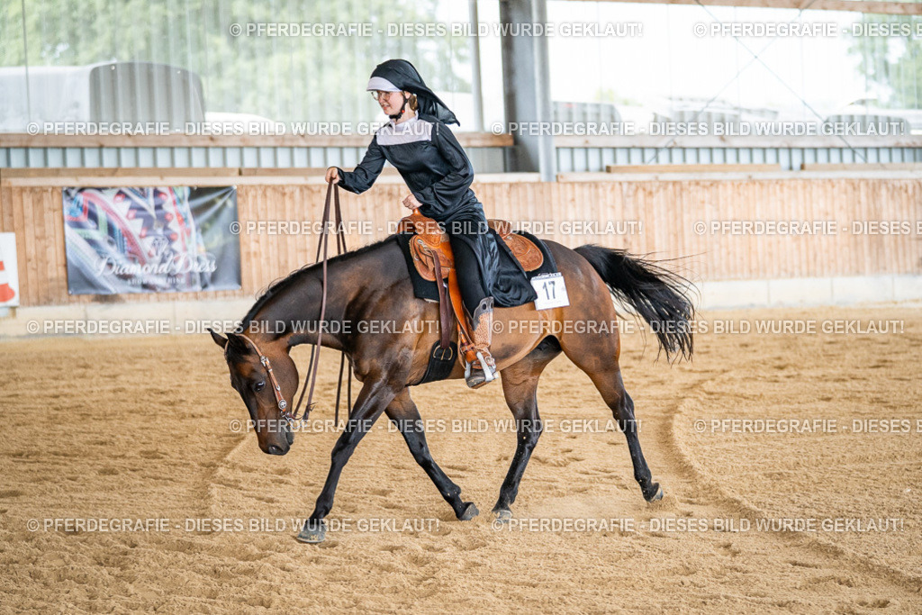 DSC04675 | Pferdegrafie