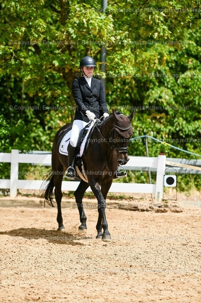 20230715_05_Dressurprüfung Kl.A++_0356 | equistock