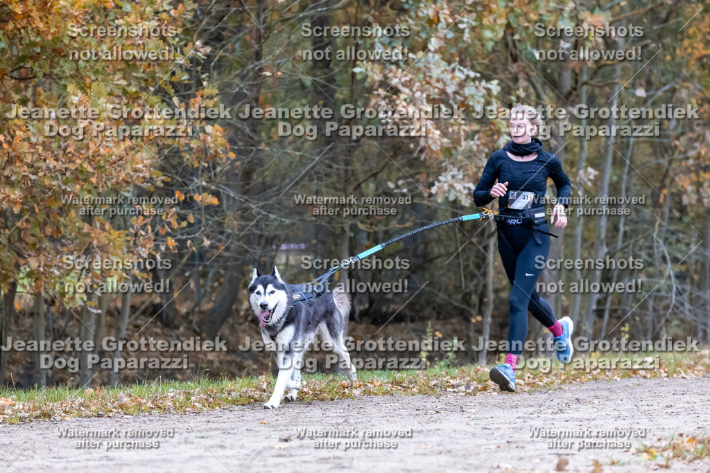 Dog Paparazzi - SD CaniX Championship 2025-334 | Dog Paparazzi Jeanette Grottendiek Fotografie & Videografie - Realisiert mit Pictrs.com