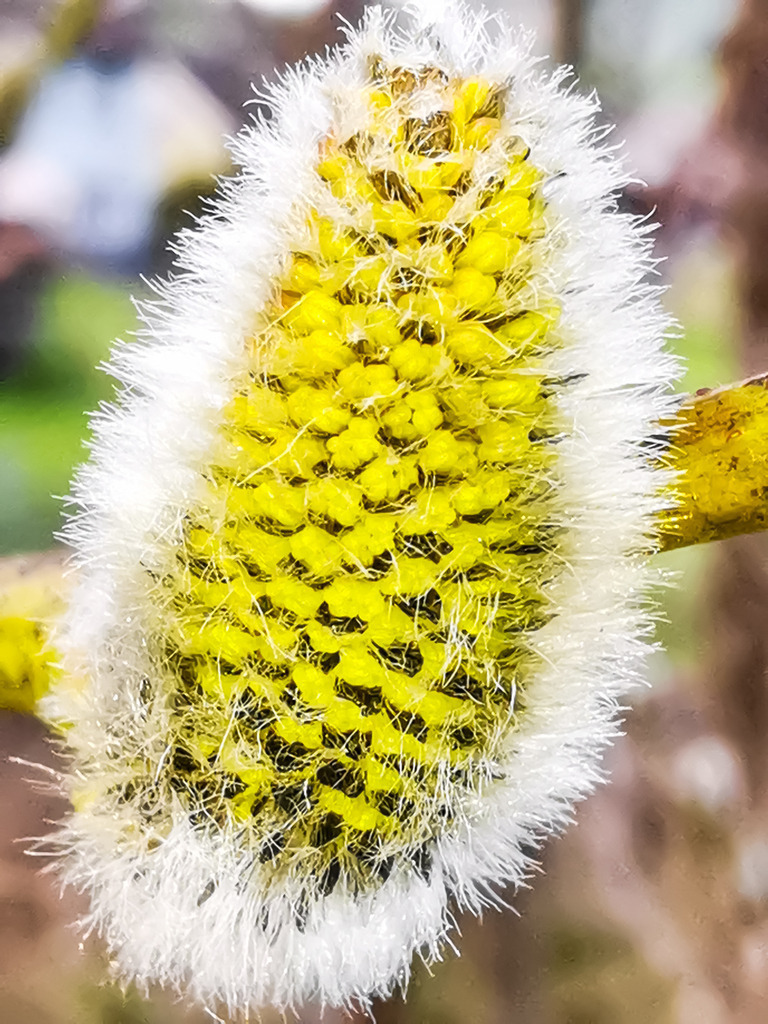 PSX_20230318_002759 | mtkfoto_ - Realisiert mit Pictrs.com