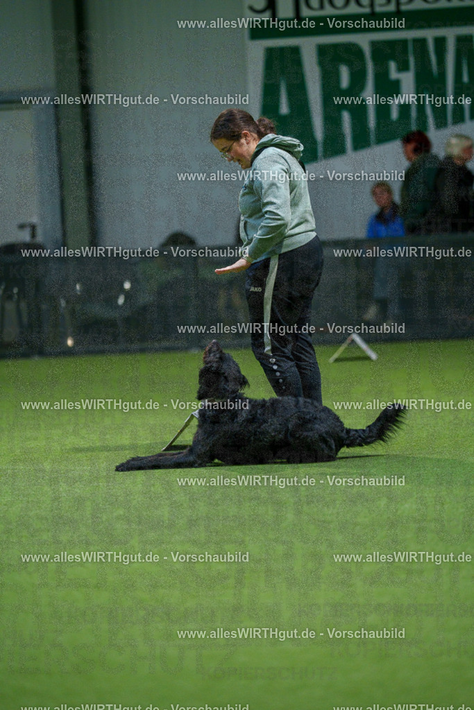 7R505809 | Professionelle Tierfotografie in Mönchengladbach von Daniel Wirth (allesWIRTHgut). Liebevolle & natürliche Bilder von Hunden & Katzen für unvergessliche Erinnerungen.