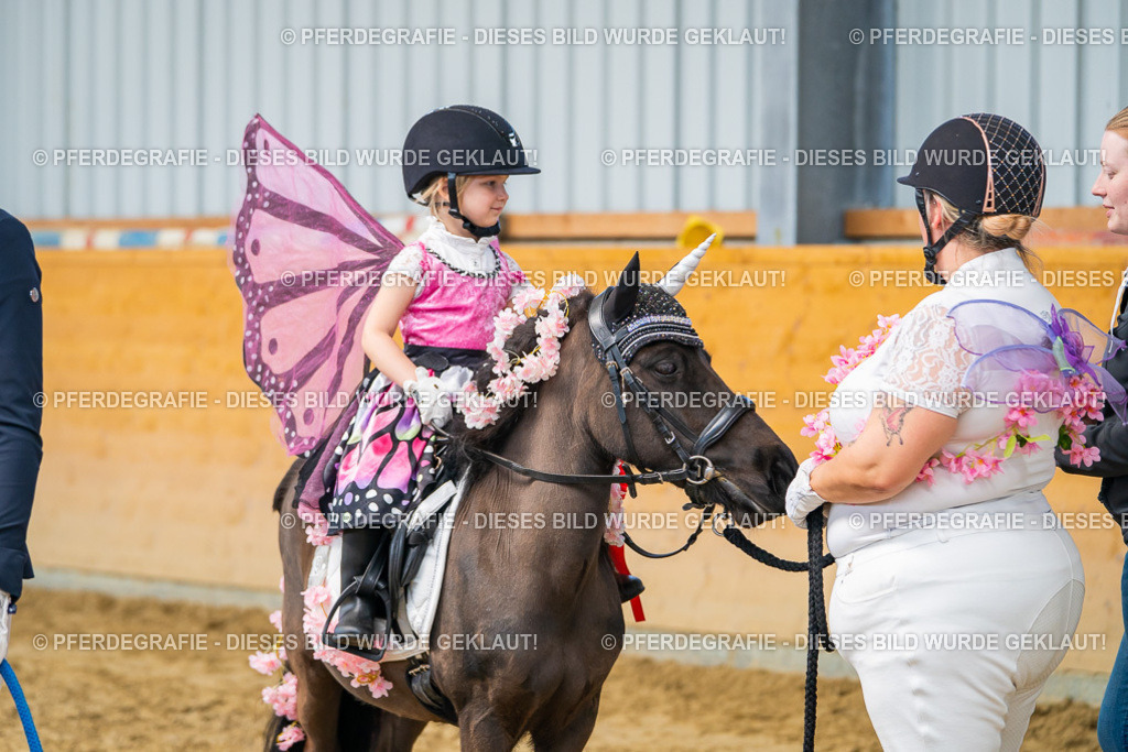 DSC00284 | Pferdegrafie