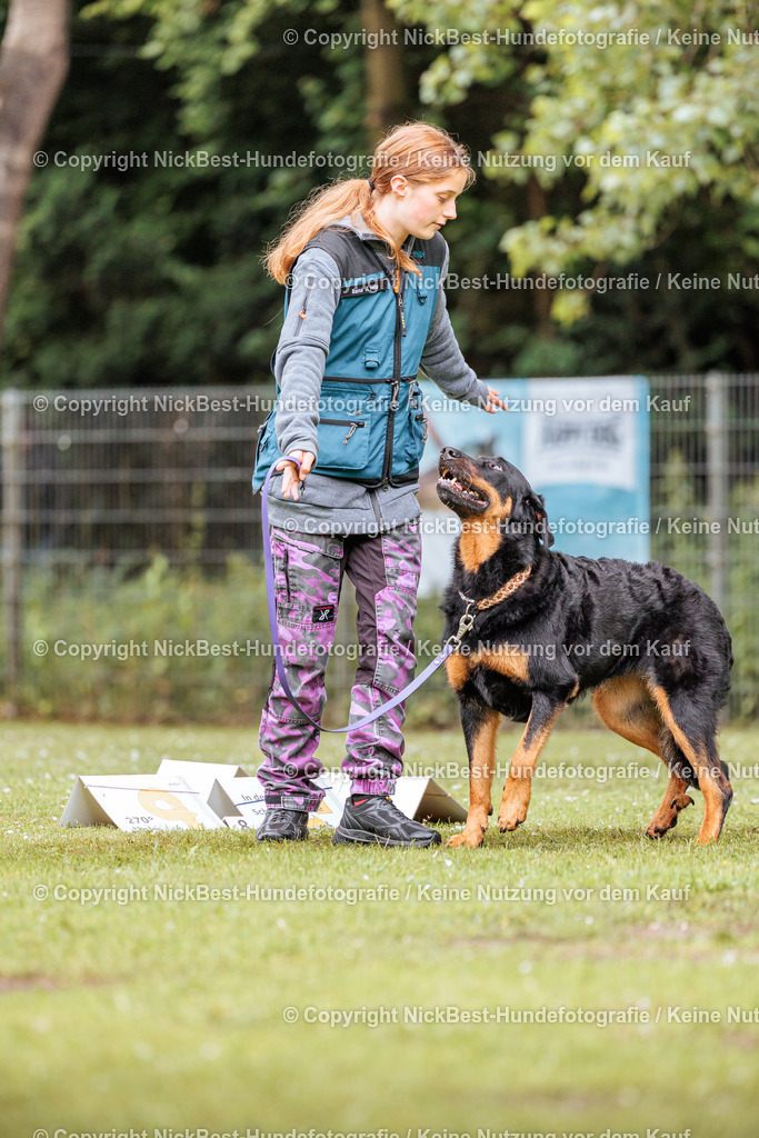 RO-Blumenthal-2026-Nickbest-Hundefotografie-1186 | Dein Hund! Dein Moment! Deine Erinnerungen! Hundefotografie in Bremen Blumenthal. Ich fange die besonderen Momente deines Vierbeiners ein – ob Indoor mit Blitzanlage oder in der freien Natur. Sicher dir dein Moment und dein Termin für eure Erinnerungen.