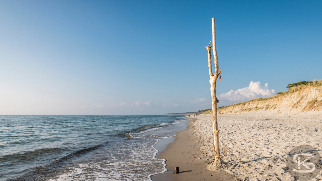 Weststrand Fischland-Darß-Zingst – Naturstrand mit Dünen und Ostsee | Der Weststrand auf Fischland-Darß-Zingst beeindruckt mit wilder Natur, Dünenlandschaften und weitem Blick über die Ostsee. Ein ursprünglicher Küstenabschnitt im Nationalpark Vorpommersche Boddenlandschaft. - Realisiert mit Pictrs.com