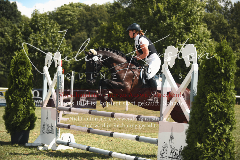 DSC_6645 | Pferde- und Turnierfotografie in Westsachsen. Pferdeportraits, Auftragszeichnungen und intuitive Kunst.