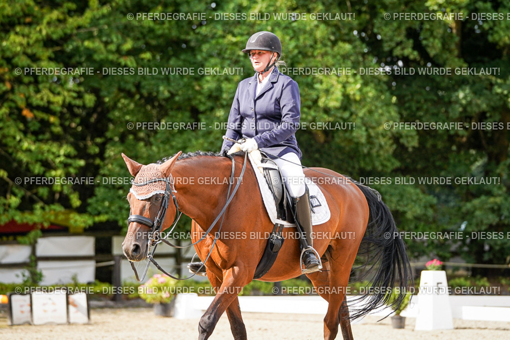 DSC07296 | Pferdegrafie