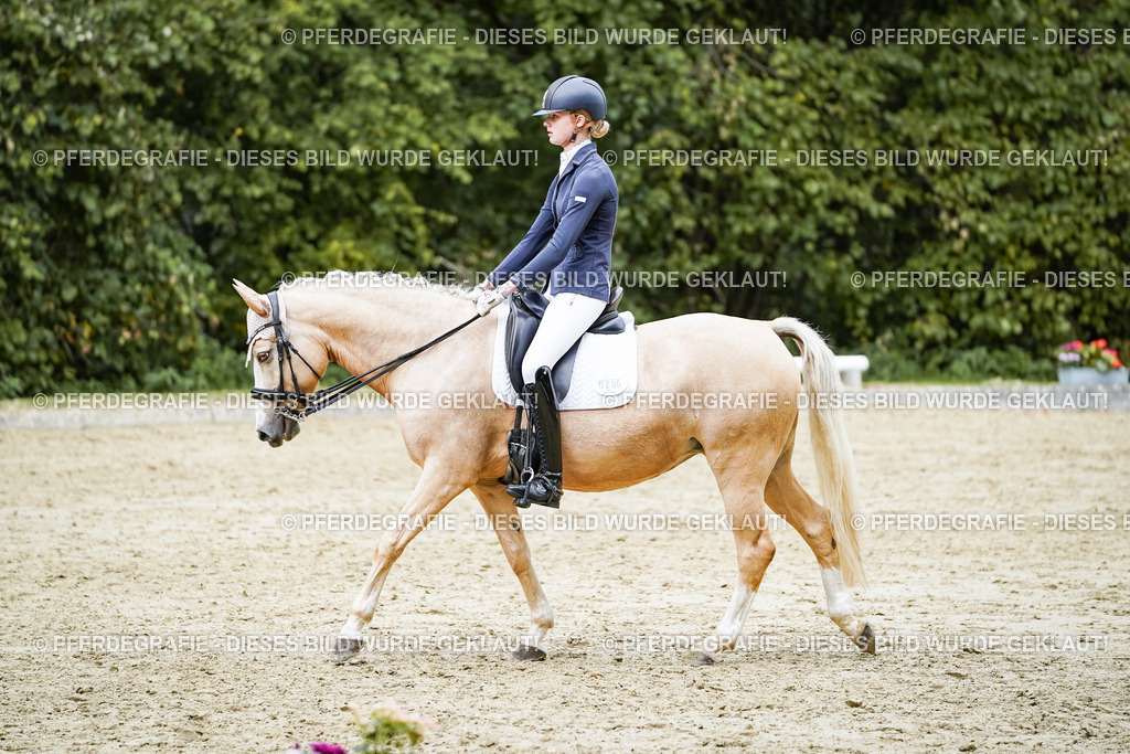 DSC07540 | Pferdegrafie