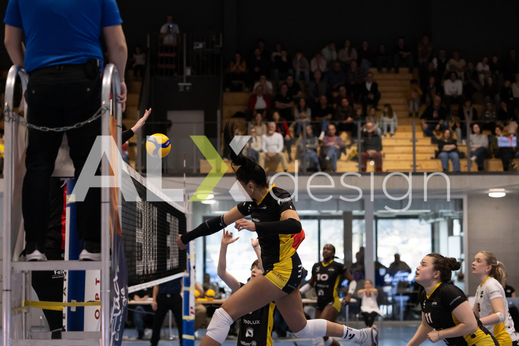Volleyball I Frauen I Saison 2025-2026 I Volleyball NLA | Women I 1/4 Finals I  BIWI VFM - VC Kanti Schaffhausen I 01.03.2026 | 8 Letícia Bonardi (BR) (BIWI VFM) – Diagonalangriff - Realisiert mit Pictrs.com