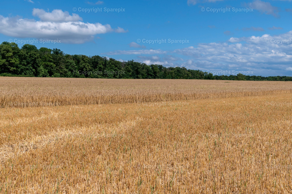CAR_Agri_Stubblefield4 | light 5/65° - Realisiert mit Pictrs.com