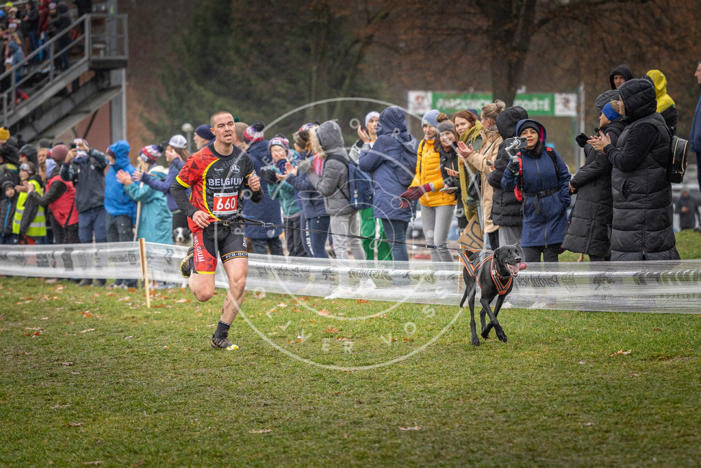 CaniXpix_DV3A9946 | Hundefotografie, Tierfotograf, Pfotenfotografie, Fotoshooting Hund, Hunde Portrait, Hundesport, Hundeportraits, Heideshooting, Hunde, Sportfotograf, Hundefotograf, Turnierhundsport, THS,  - Realisiert mit Pictrs.com