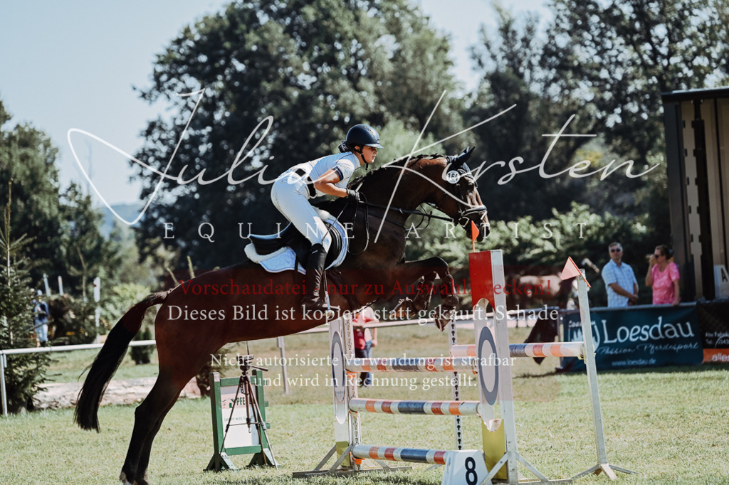 DSC_5973 | Pferde- und Turnierfotografie in Westsachsen. Pferdeportraits, Auftragszeichnungen und intuitive Kunst.