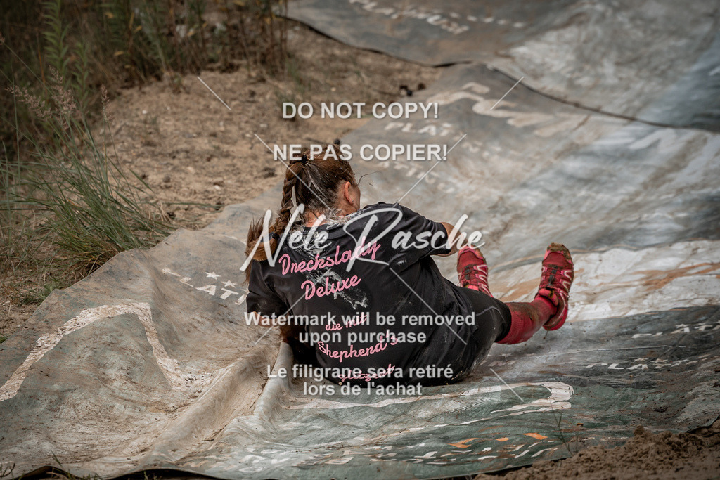 nelerasche_sa1100-1200_379 | nelerasche