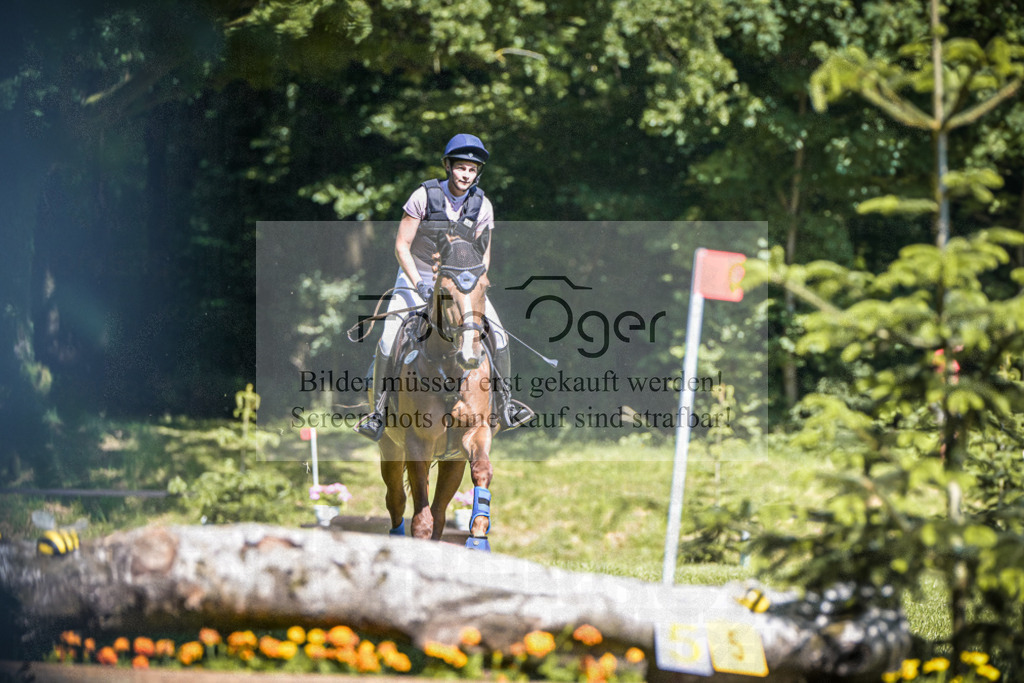 DOS_9530 | Entdecke hochwertige Reitturnierfotos von Foto Oger. Professionell, emotional und authentisch – jetzt Lieblingsmomente im Shop bestellen.Deutschlandweite Turnierfotografie. - Realisiert mit Pictrs.com