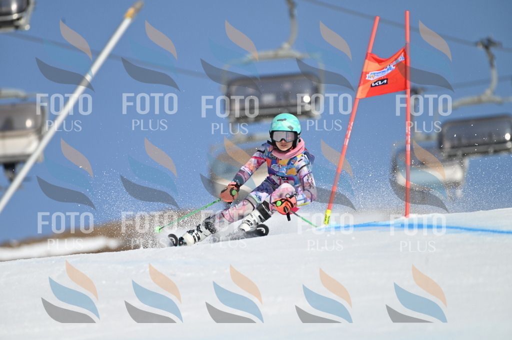 BGV_7925 | holidayphoto