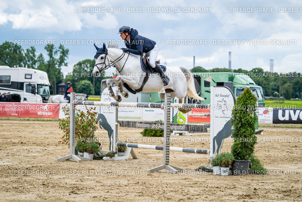 DSC06009 | Pferdegrafie