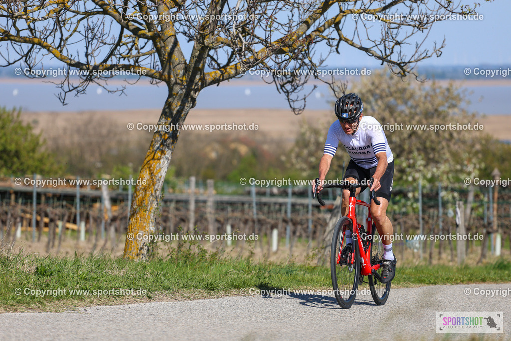 IMG_9861 | @sportshot_your_pictrs #yourpictures#roadtowm2029 #nrm #neusiedlerseeradmarathon #neusiedlersee #neusiedlerseetourismus #burgenland #mörbisch #nrm26 #burgenlandtourismus #voglundco #poweredbyburgenlandtourismus #radsport #rad #marathon #ucigranfondo #visitburgenland #ucigranfondoworldseries
