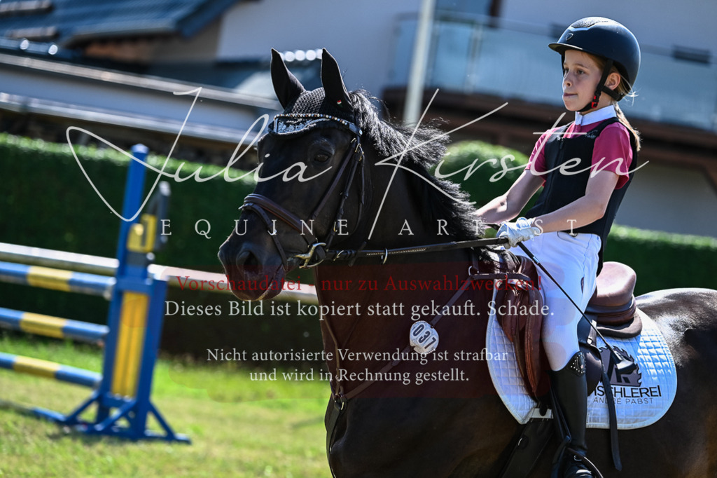 DSC_1159 | Pferde- und Turnierfotografie in Westsachsen. Pferdeportraits, Auftragszeichnungen und intuitive Kunst.