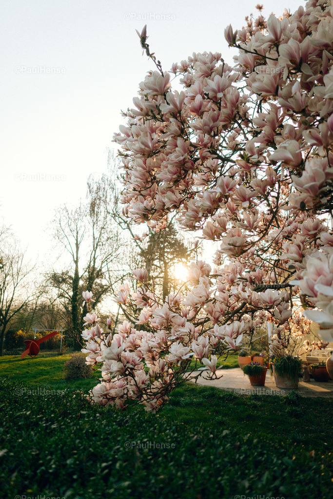 20220323_PaulHense_S0008_DSC03360 | paulhense - Realisiert mit Pictrs.com