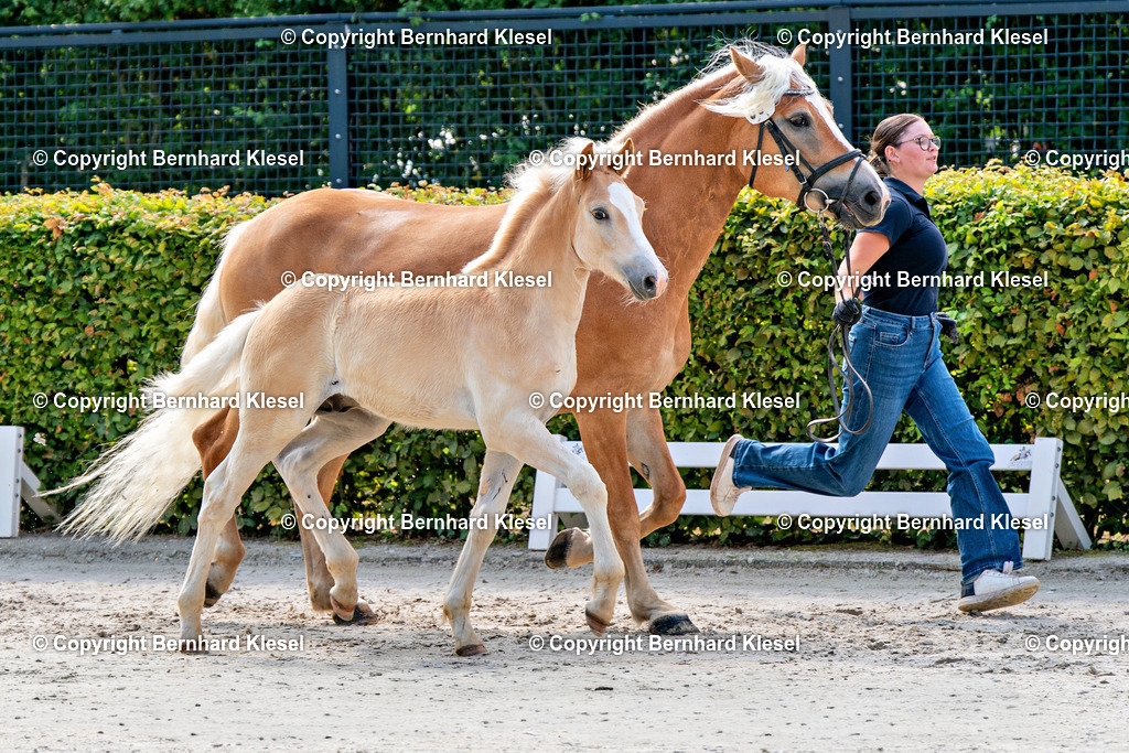 2A909468 | foto-team-bernhard - Realisiert mit Pictrs.com