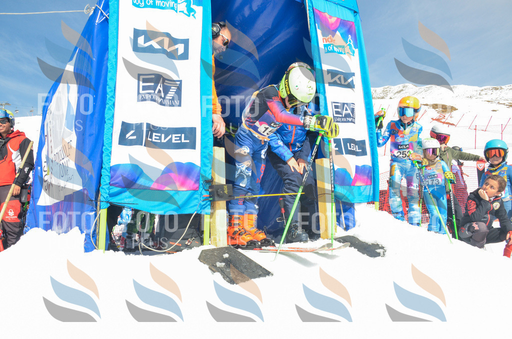 _ELE6352 | holidayphoto