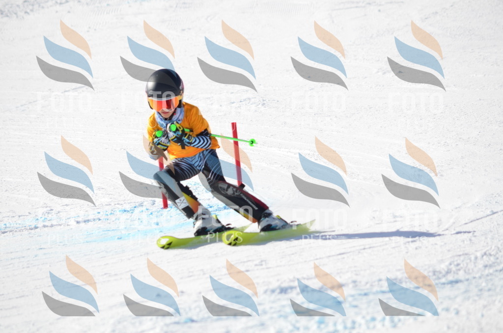 C6491 | holidayphoto