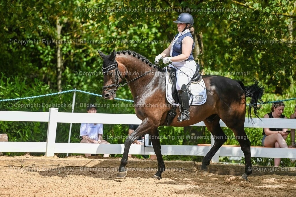20230715_02_Dressurreiterprüfung Kl.L_0375 | equistock