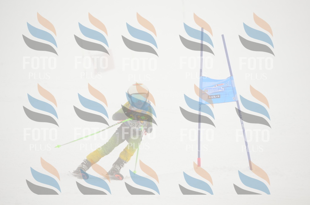 C1684 | holidayphoto