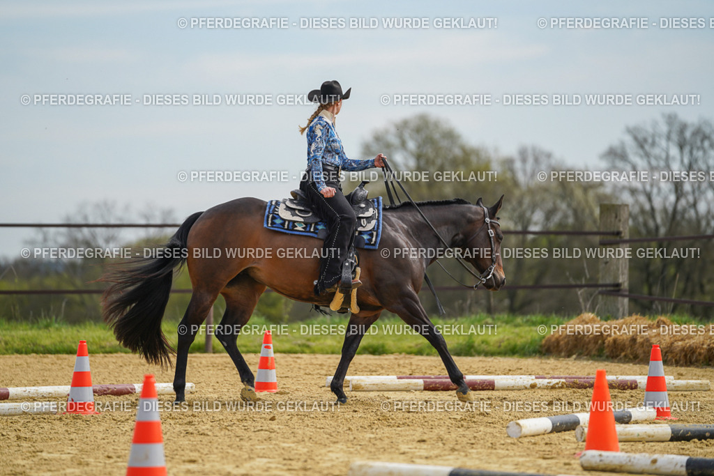 DSC03580 | Pferdegrafie